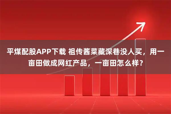 平煤配股APP下载 祖传酱菜藏深巷没人买，用一亩田做成网红产品，一亩田怎么样？