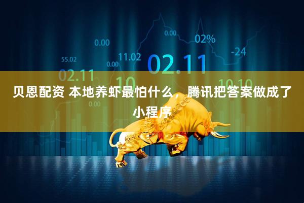 贝恩配资 本地养虾最怕什么，腾讯把答案做成了小程序