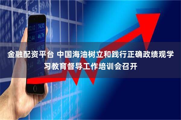 金融配资平台 中国海油树立和践行正确政绩观学习教育督导工作培训会召开