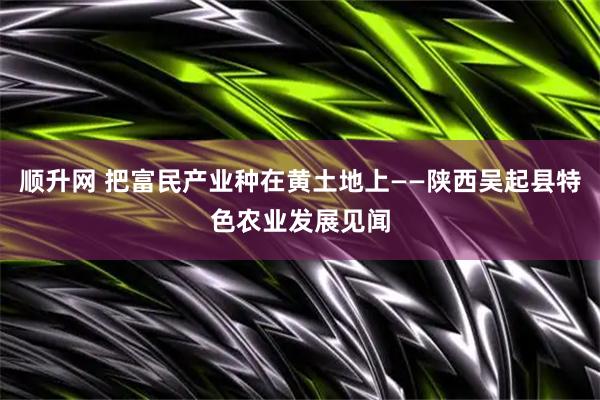 顺升网 把富民产业种在黄土地上——陕西吴起县特色农业发展见闻